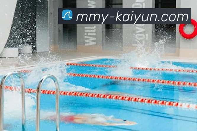 开云下载平台发展历程